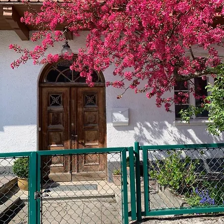 Schone In Den Bergen Guest house